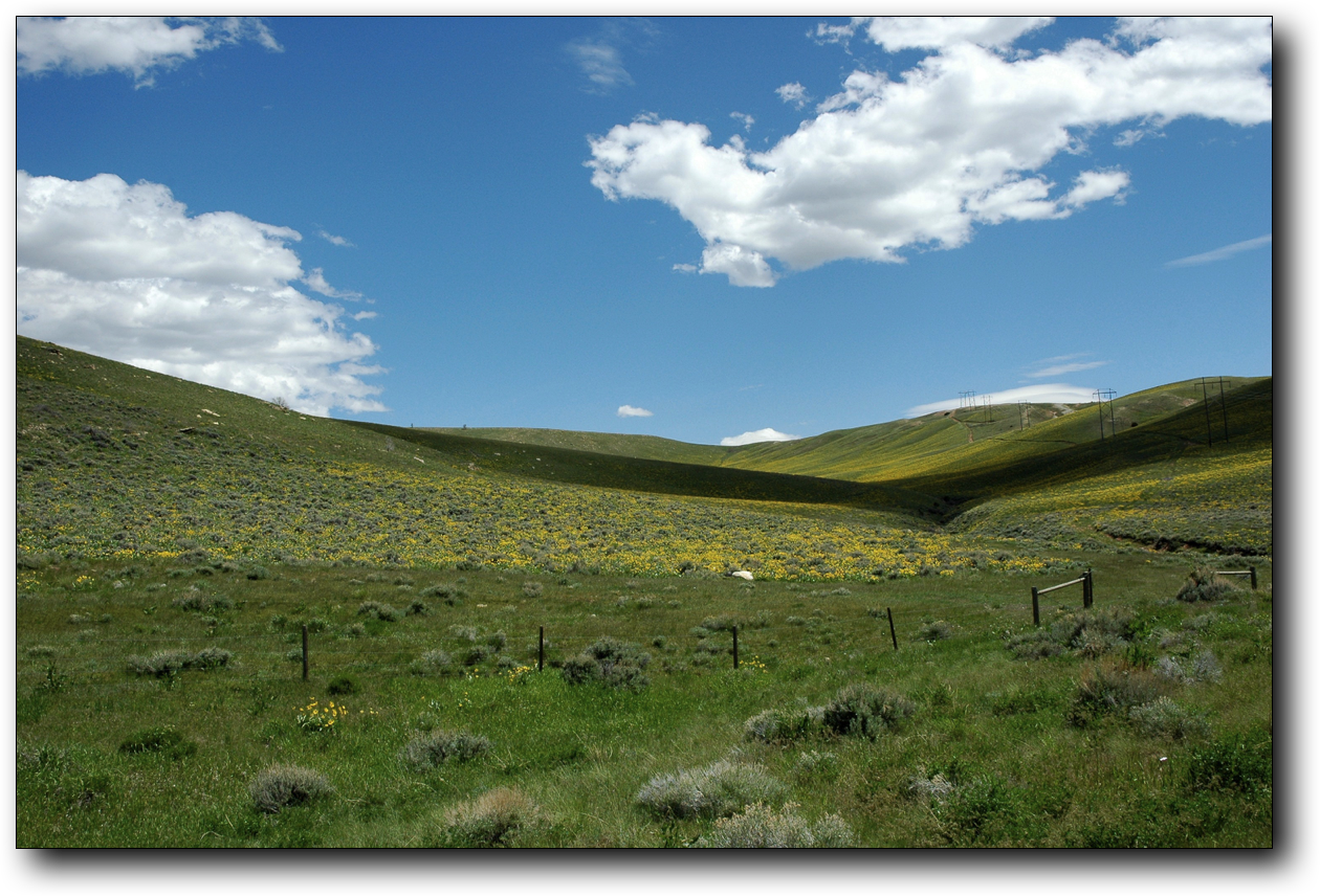 Stacks Image 670